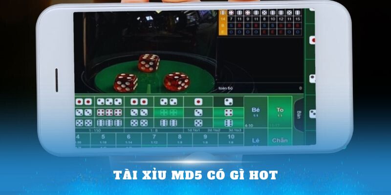 tai-xiu-md5-co-gi-hot-topgamebai